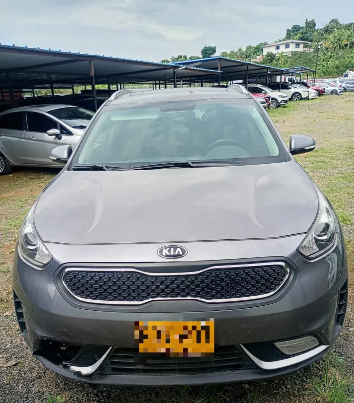 Kia Niro 2019