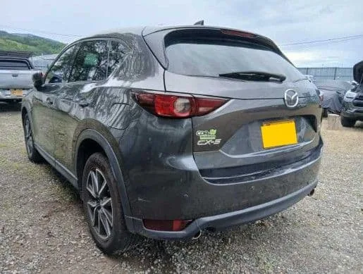 Mazda CX - 5 CX-5 2019, foto 4