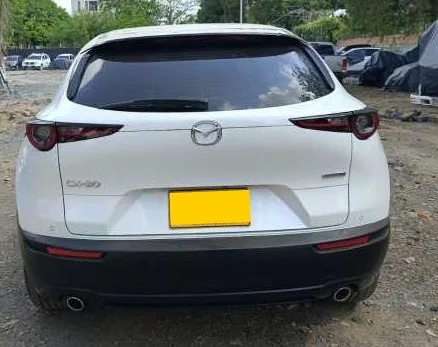 Mazda CX-30 2021, foto 2