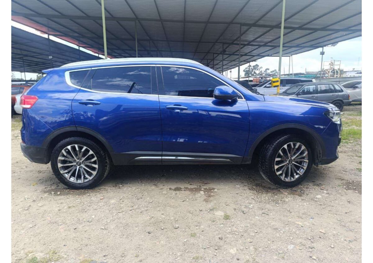 Great Wall Motors  ALL NEW HAVAL 2020 BRP 4488 - Imagen 6